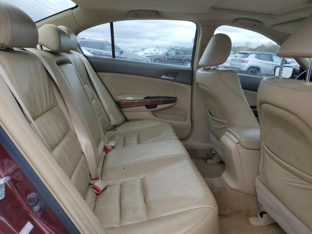 1HGCP36879A020827 - 2009 HONDA ACCORD EXL მუქწითელი ფოტო 10