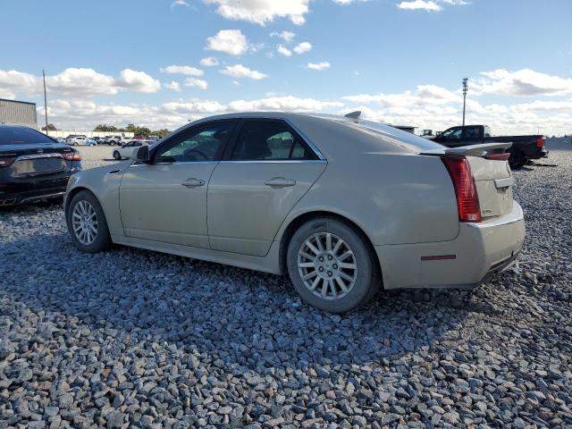 1G6DF5EY7B0139575 - 2011 CADILLAC CTS LUXURY COLLECTION 奶油色 照片 2