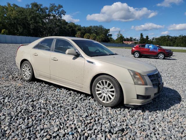 1G6DF5EY7B0139575 - 2011 CADILLAC CTS LUXURY COLLECTION 奶油色 照片 4