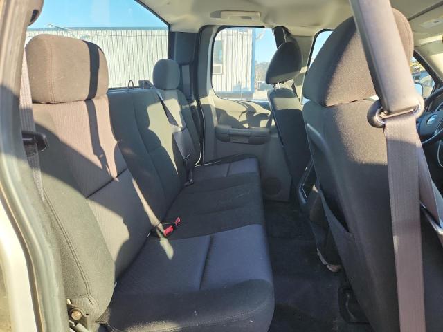 1GCSCPEX0AZ117184 - 2010 CHEVROLET SILVERADO C1500 SILVER photo 10