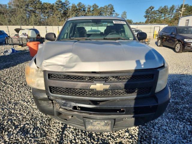 1GCSCPEX0AZ117184 - 2010 CHEVROLET SILVERADO C1500 SILVER photo 5