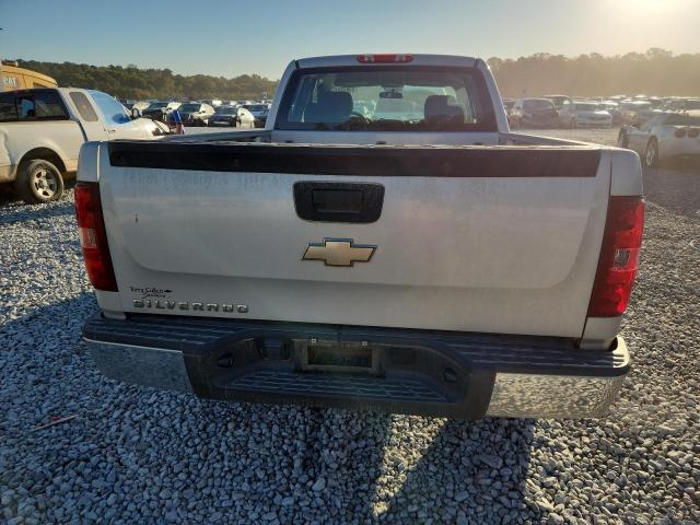 1GCSCPEX0AZ117184 - 2010 CHEVROLET SILVERADO C1500 SILVER photo 6