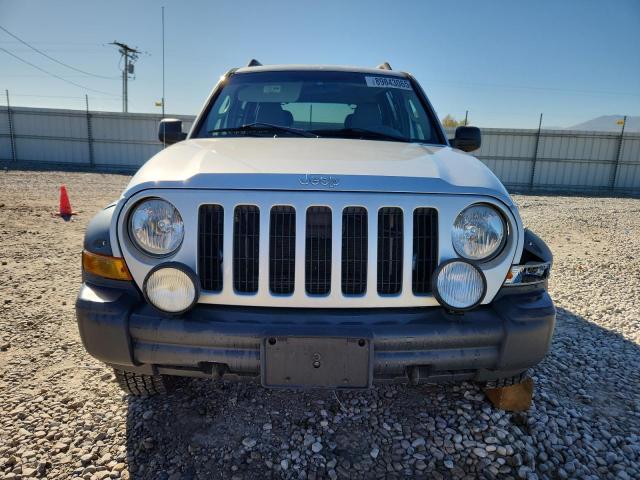 1J4GL38K46W219718 - 2006 JEEP LIBERTY RENEGADE ვერცხლისფერი ფოტო 5