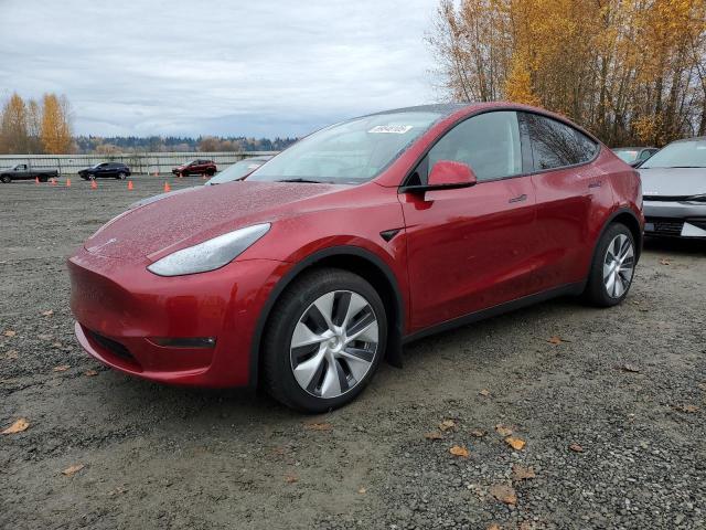 2024 TESLA MODEL Y, 