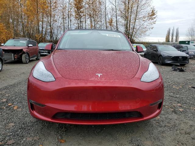 7SAYGDEE4RF983857 - 2024 TESLA MODEL Y 红色 照片 5