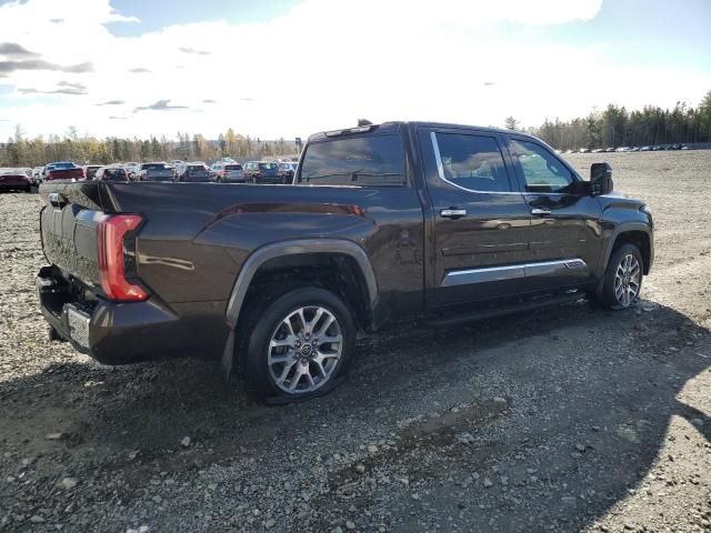 5TFMA5ECXNX005168 - 2022 TOYOTA TUNDRA CREWMAX PLATINUM Braun Foto 3