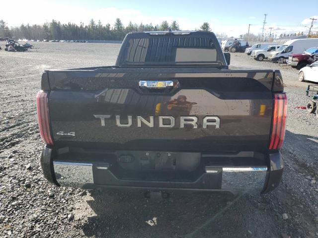 5TFMA5ECXNX005168 - 2022 TOYOTA TUNDRA CREWMAX PLATINUM Braun Foto 6