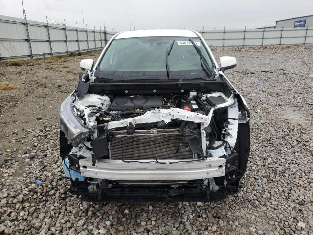 2T3G1RFV3RC439996 - 2024 TOYOTA RAV4 LE თეთრი ფოტო 5