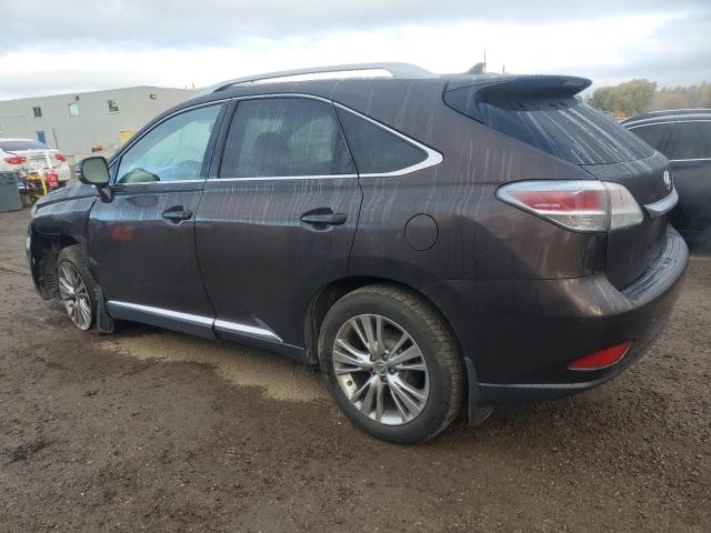 2T2BK1BA8DC211162 - 2013 LEXUS RX 350 BASE 棕色 照片 2