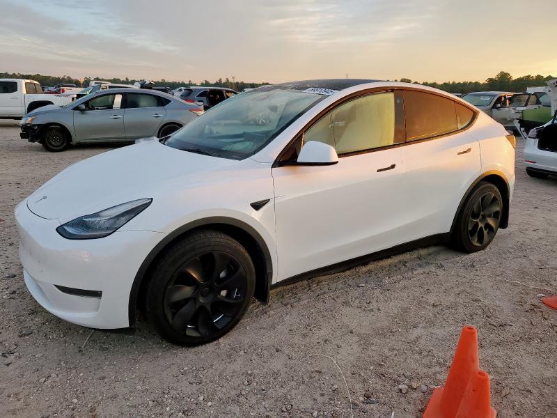 2023 TESLA MODEL Y, 