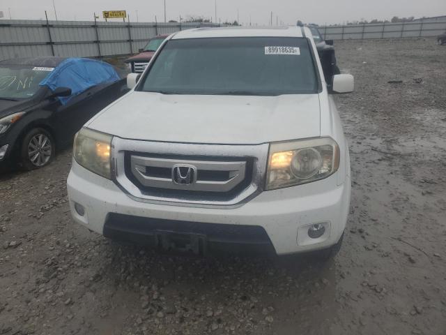 5FNYF48699B028525 - 2009 HONDA PILOT EXL 白色 照片 5
