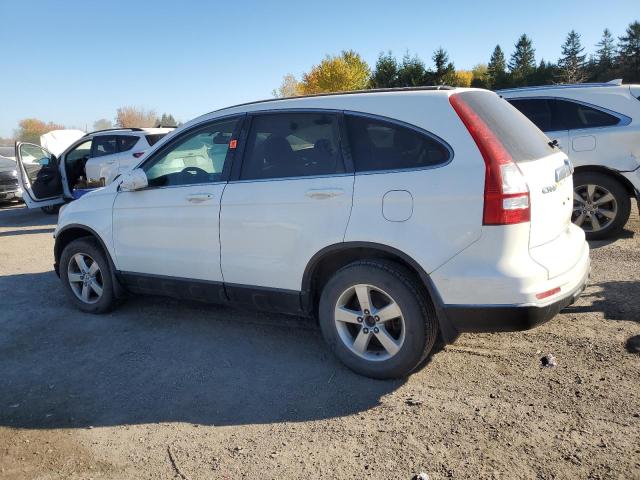 5J6RE4H72AL817868 - 2010 HONDA CR-V EXL WHITE photo 2