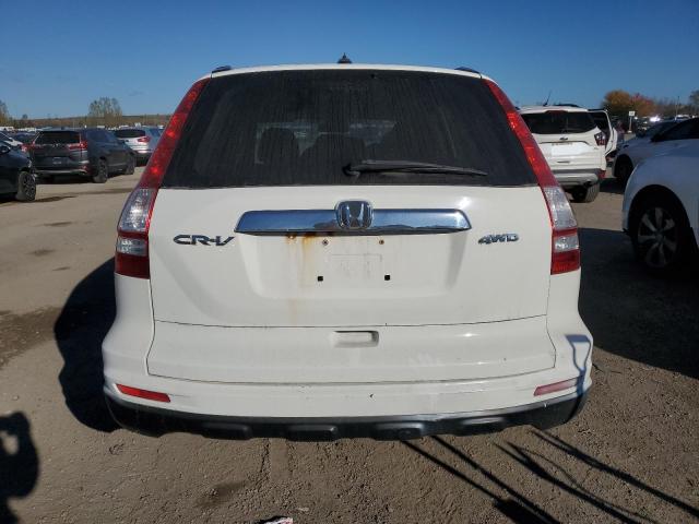 5J6RE4H72AL817868 - 2010 HONDA CR-V EXL WHITE photo 6