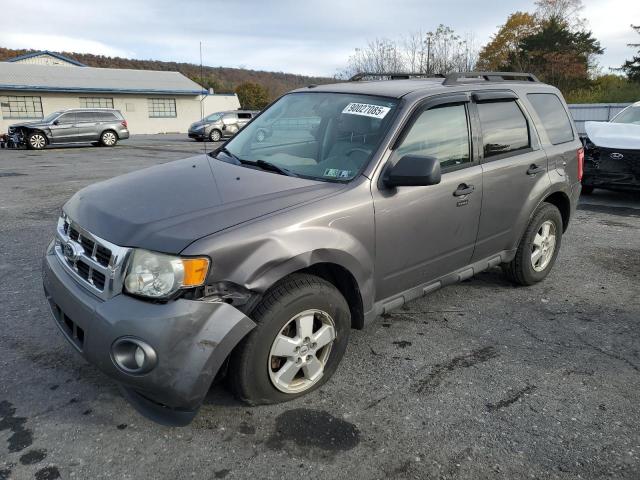 2011 FORD ESCAPE XLT, 