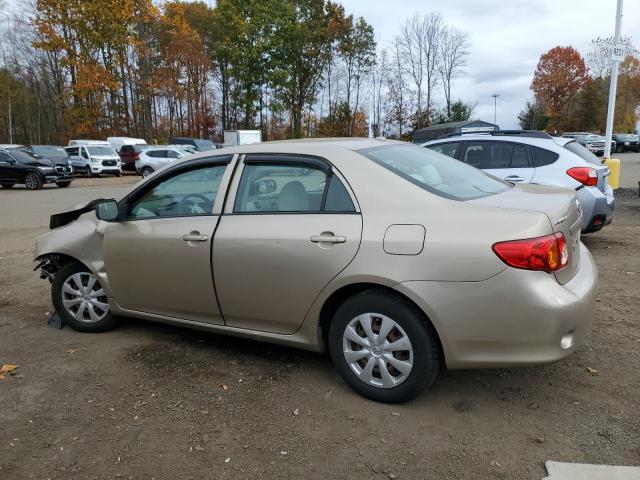 2T1BU40E49C121021 - 2009 TOYOTA COROLLA BASE GOLD photo 2