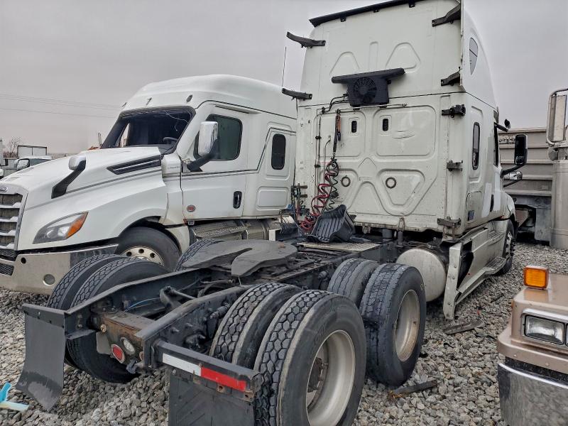 1FUJHHDR0KLJY3852 - 2019 FREIGHTLINER CASCADIA 1 Blanco foto 4