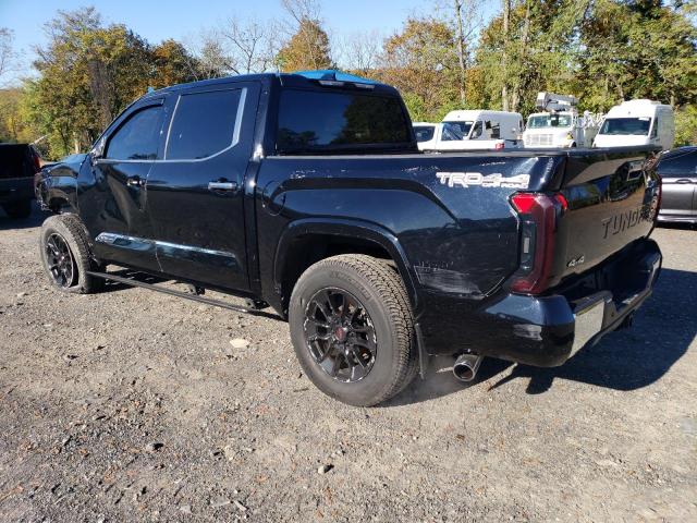 5TFMA5DB9PX080455 - 2023 TOYOTA TUNDRA CREWMAX PLATINUM Schwarz Foto 2