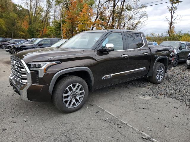 2025 TOYOTA TUNDRA CREWMAX PLATINUM, 