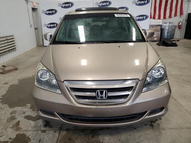 5FNRL38737B446558 - 2007 HONDA ODYSSEY EXL 金色 照片 5