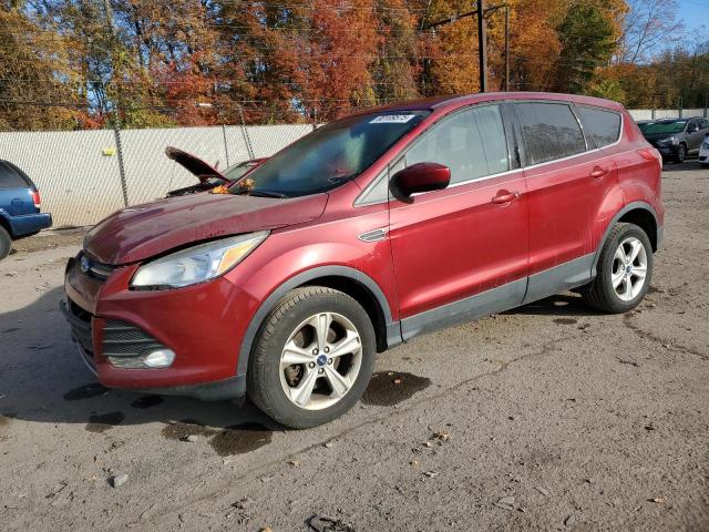 2014 FORD ESCAPE SE, 