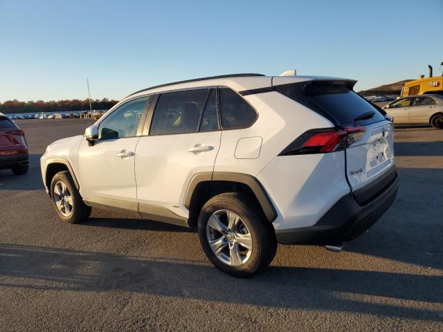 4T3MWRFVXRU160693 - 2024 TOYOTA RAV4 LE 白色 照片 2