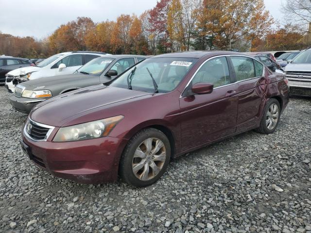 2010 HONDA ACCORD EXL, 