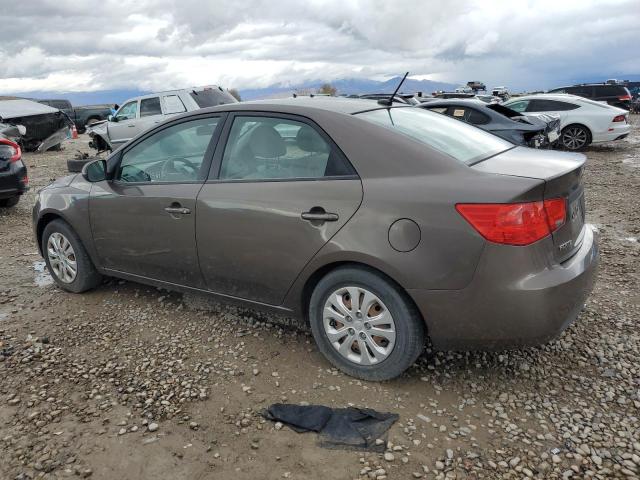 KNAFU4A27D5736221 - 2013 KIA FORTE EX BROWN photo 2