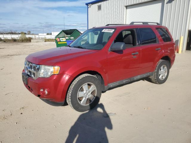 2010 FORD ESCAPE XLT, 