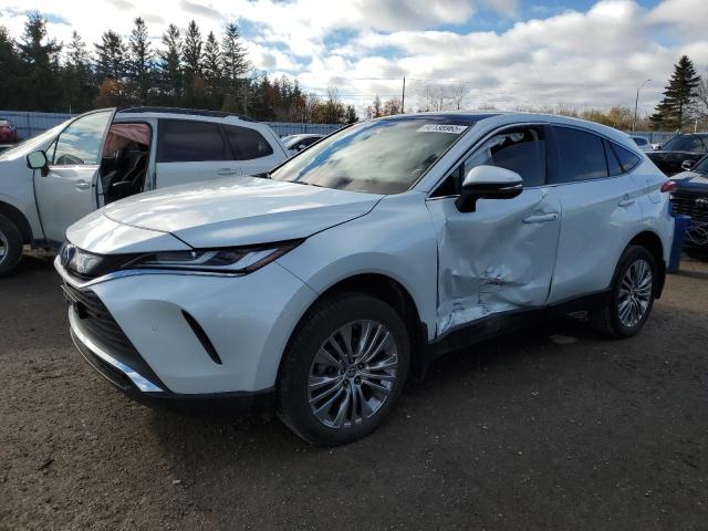 2023 TOYOTA VENZA LE, 