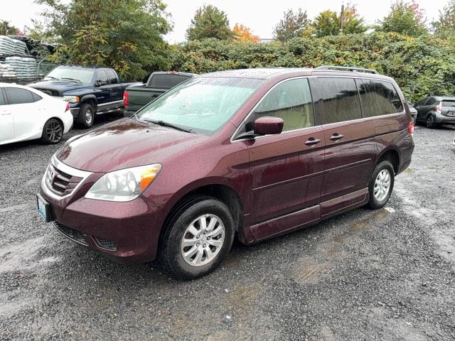5FNRL3H68AB013106 - 2010 HONDA ODYSSEY EXL 勃艮第红 照片 2