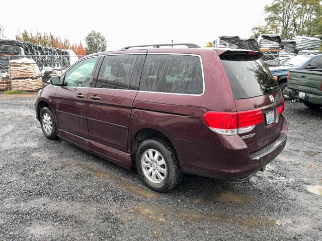 5FNRL3H68AB013106 - 2010 HONDA ODYSSEY EXL 勃艮第红 照片 3