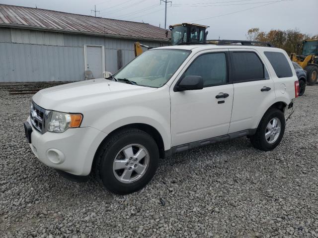 2009 FORD ESCAPE XLT, 