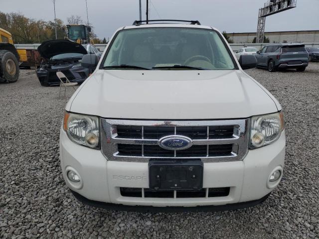 1FMCU03G79KB03956 - 2009 FORD ESCAPE XLT 白色 照片 5