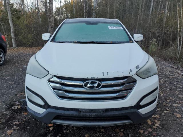 5XYZUDLB7DG058364 - 2013 HYUNDAI SANTA FE S WHITE photo 5