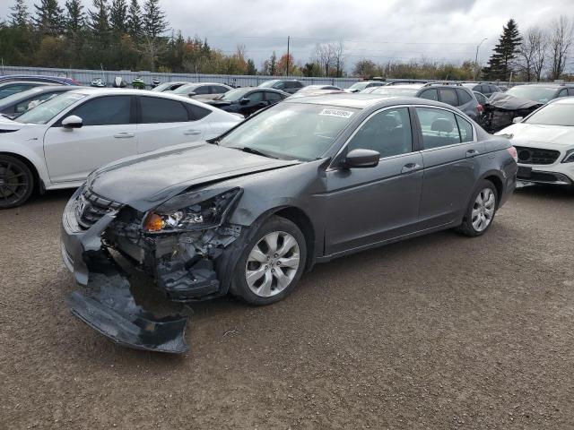 2010 HONDA ACCORD EXL, 