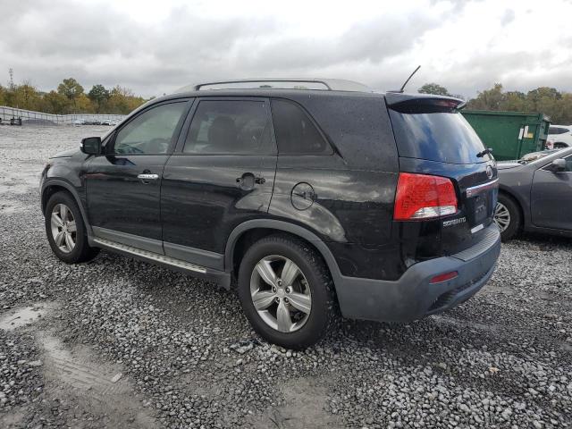 5XYKU4A22DG347219 - 2013 KIA SORENTO EX შავი ფოტო 2