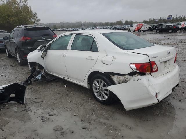 2T1BU40E79C065138 - 2009 TOYOTA COROLLA BASE თეთრი ფოტო 2