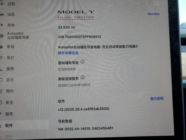 7SAYGDEF0PF606013 - 2023 TESLA MODEL Y Weiß Foto 9