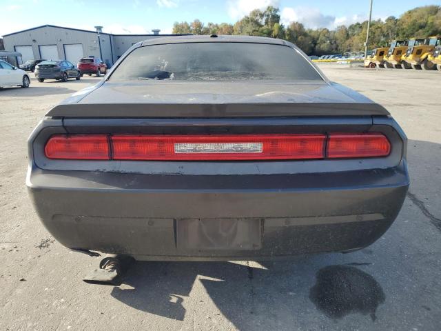 2C3CDYBT3DH712595 - 2013 DODGE CHALLENGER R/T GRAY photo 6