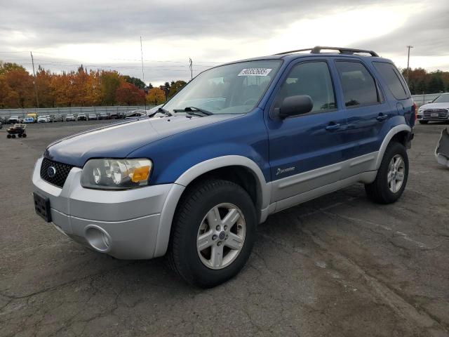 2007 FORD ESCAPE HEV, 