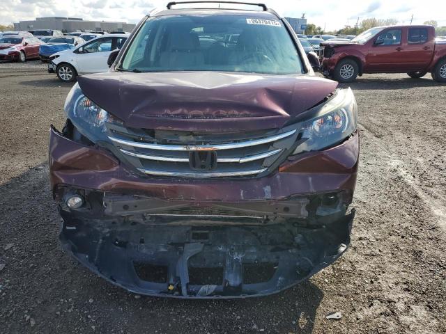 5J6RM4H75DL059158 - 2013 HONDA CR-V EXL 栗色 照片 5