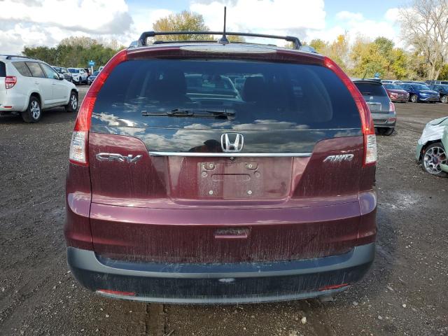 5J6RM4H75DL059158 - 2013 HONDA CR-V EXL 栗色 照片 6