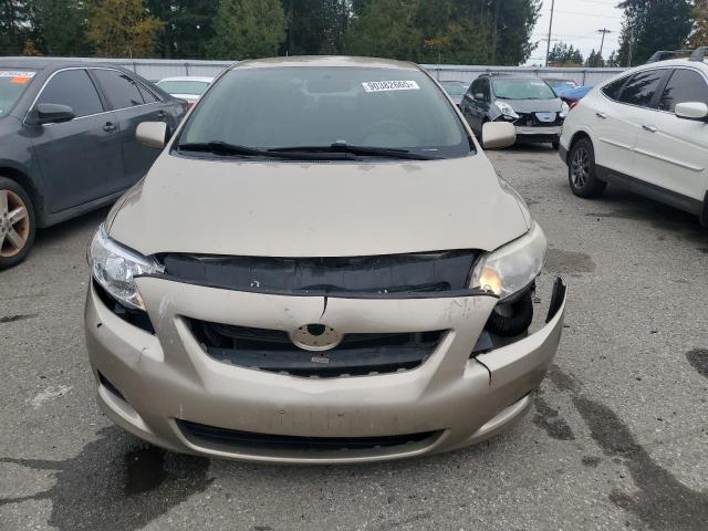 1NXBU40E29Z030201 - 2009 TOYOTA COROLLA BASE BEIGE photo 5