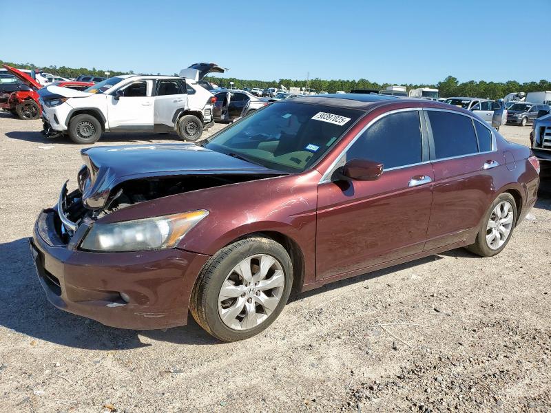 2010 HONDA ACCORD EXL, 