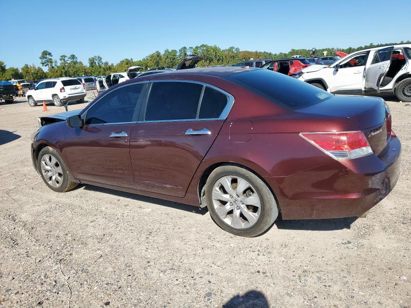 5KBCP3F83AB015989 - 2010 HONDA ACCORD EXL MAROON photo 2