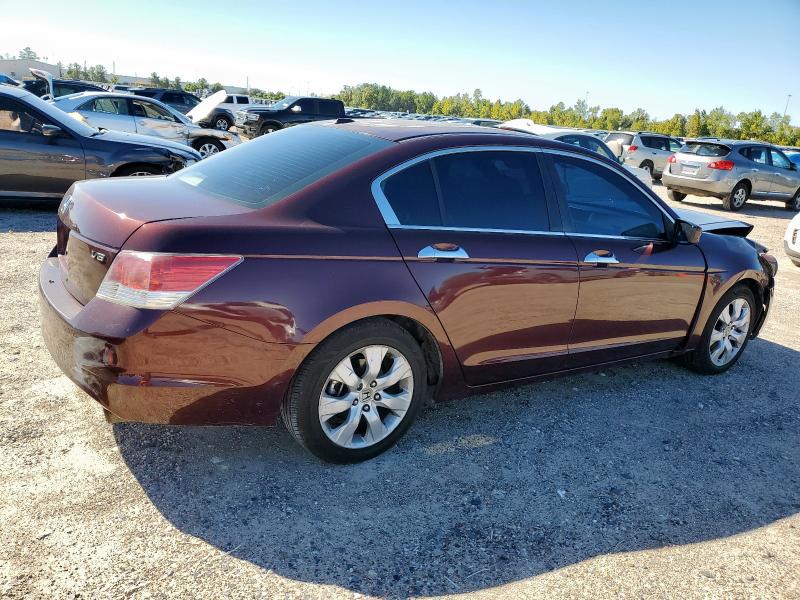 5KBCP3F83AB015989 - 2010 HONDA ACCORD EXL MAROON photo 3