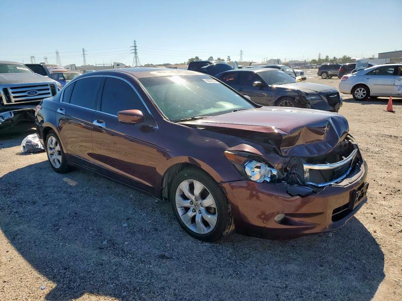 5KBCP3F83AB015989 - 2010 HONDA ACCORD EXL MAROON photo 4