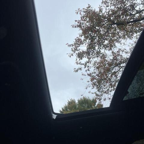 SALGS2SV6KA567137 - 2019 LAND ROVER RANGE ROVE HSE BLACK photo 12