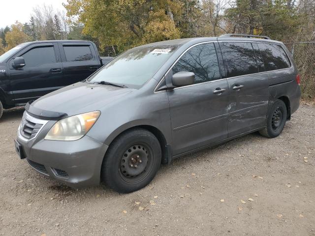 2010 HONDA ODYSSEY EXL, 