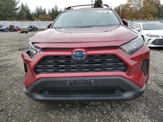 2T3MWRFV7KW044390 - 2019 TOYOTA RAV4 LE أحمر صورة 5